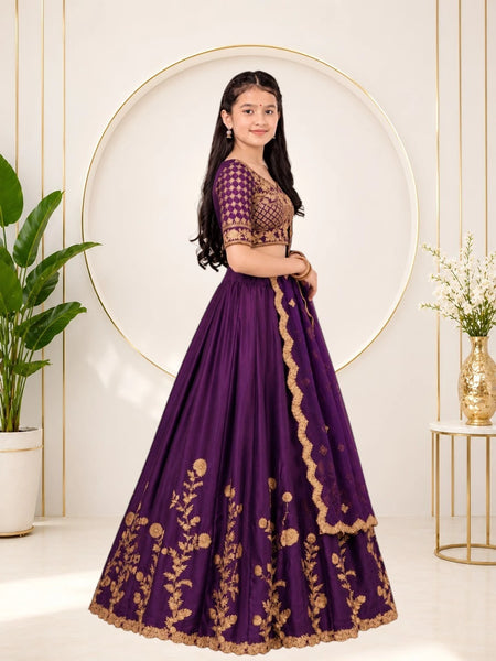 Girls Lehenga Choli Ethnic Wear, Party Wear, Western Wear Embroidered Lehenga(Wine)
