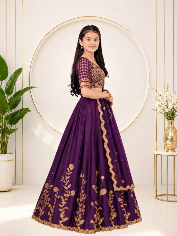 Girls Lehenga Choli Ethnic Wear, Party Wear, Western Wear Embroidered Lehenga(Wine)