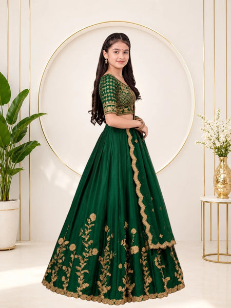 Girls Lehenga Choli Ethnic Wear, Party Wear, Western Wear Embroidered Lehenga(Green)