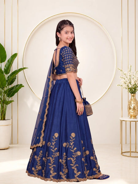Girls Lehenga Choli Ethnic Wear, Party Wear, Western Wear Embroidered Lehenga(Blue)