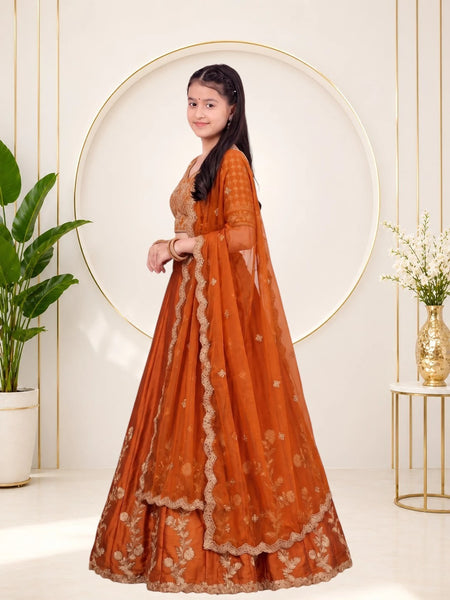 Girls Lehenga Choli Ethnic Wear, Party Wear, Western Wear Embroidered Lehenga(Orange)