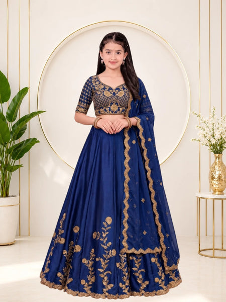Girls Lehenga Choli Ethnic Wear, Party Wear, Western Wear Embroidered Lehenga(Blue)