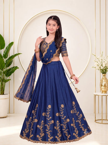 Girls Lehenga Choli Ethnic Wear, Party Wear, Western Wear Embroidered Lehenga(Blue)