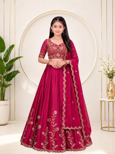 Girls Lehenga Choli Ethnic Wear, Party Wear, Western Wear Embroidered Lehenga(Rani)