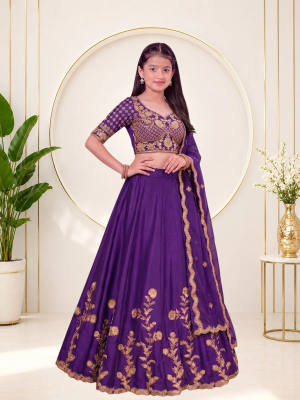 Girls Lehenga Choli Ethnic Wear, Party Wear, Western Wear Embroidered Lehenga(Purple)