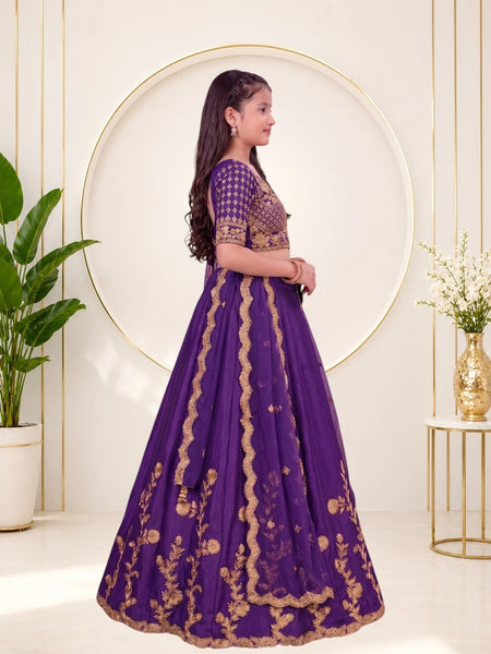 Girls Lehenga Choli Ethnic Wear, Party Wear, Western Wear Embroidered Lehenga(Purple)