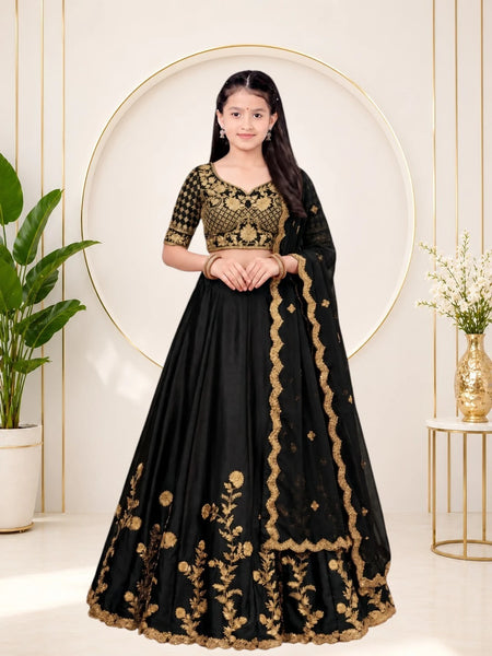 Girls Lehenga Choli Ethnic Wear, Party Wear, Western Wear Embroidered Lehenga(Black)