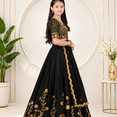 Girls Lehenga Choli Ethnic Wear, Party Wear, Western Wear Embroidered Lehenga(Black)