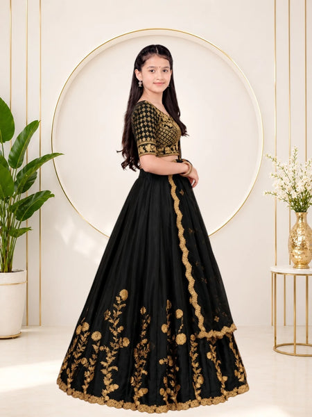 Girls Lehenga Choli Ethnic Wear, Party Wear, Western Wear Embroidered Lehenga(Black)