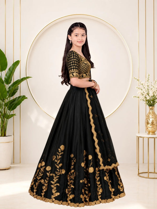 Girls Lehenga Choli Ethnic Wear, Party Wear, Western Wear Embroidered Lehenga(Black)