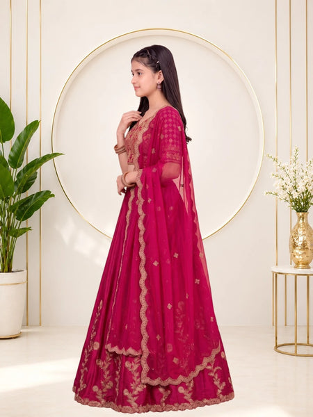 Girls Lehenga Choli Ethnic Wear, Party Wear, Western Wear Embroidered Lehenga(Rani)