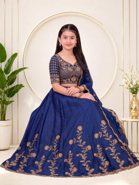 Girls Lehenga Choli Ethnic Wear, Party Wear, Western Wear Embroidered Lehenga(Blue)