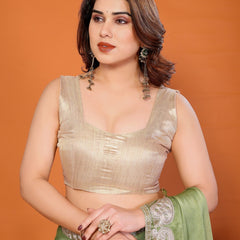 Pista Green Sitara Embroidered Designer Party Saree