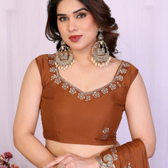 Brown Star Georgette Embroidered Designer Saree