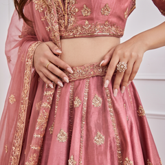 Embroidered Semi Stitched Lehenga & Blouse (Pink)
