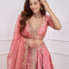 Embroidered Semi Stitched Lehenga & Blouse (Pink)